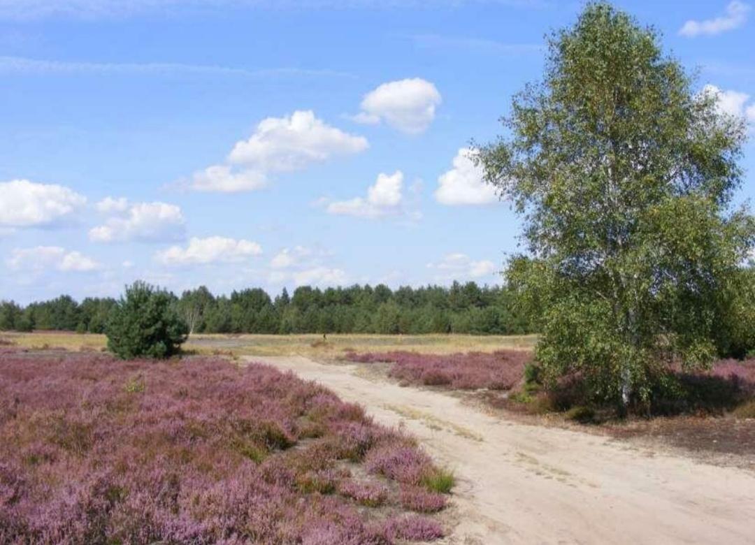 Chalet Schoonhoeve Schoonloo Exteriör bild